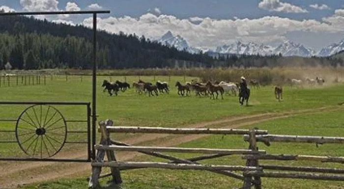 Station touristique The Turpin Meadow Ranch